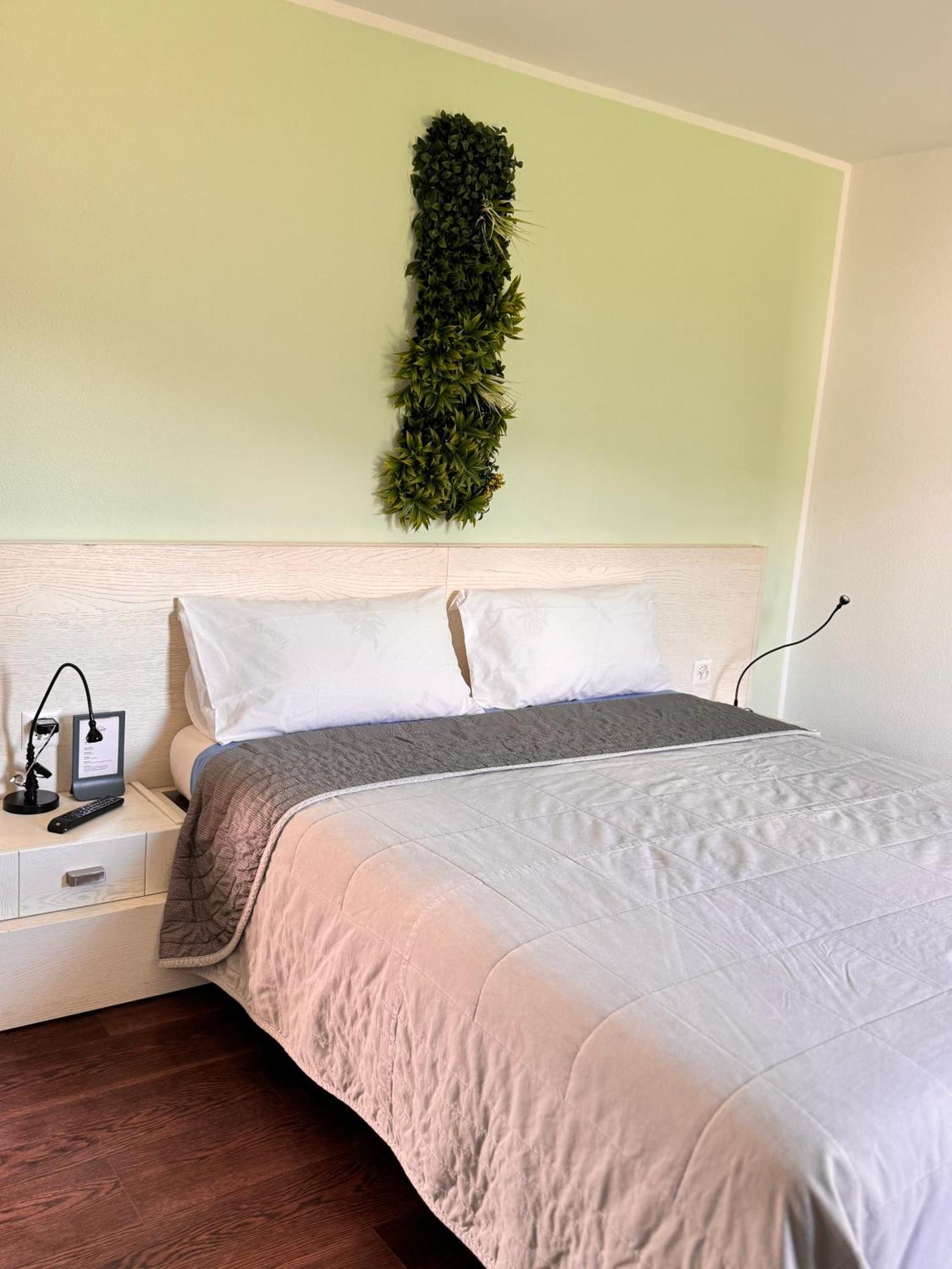 Bed and Breakfast Viva Bacco Gambarogno Exterior foto