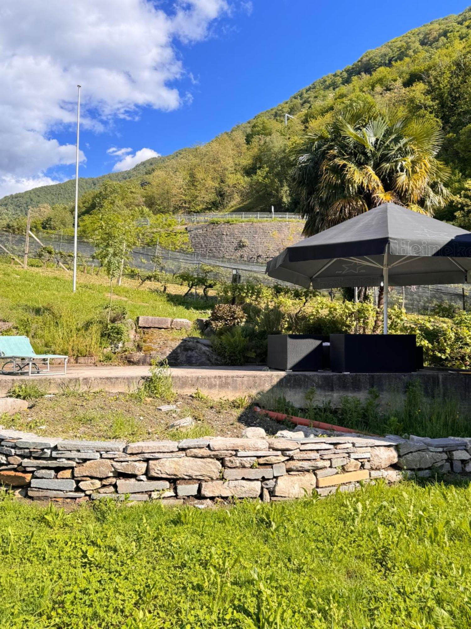 Bed and Breakfast Viva Bacco Gambarogno Exterior foto