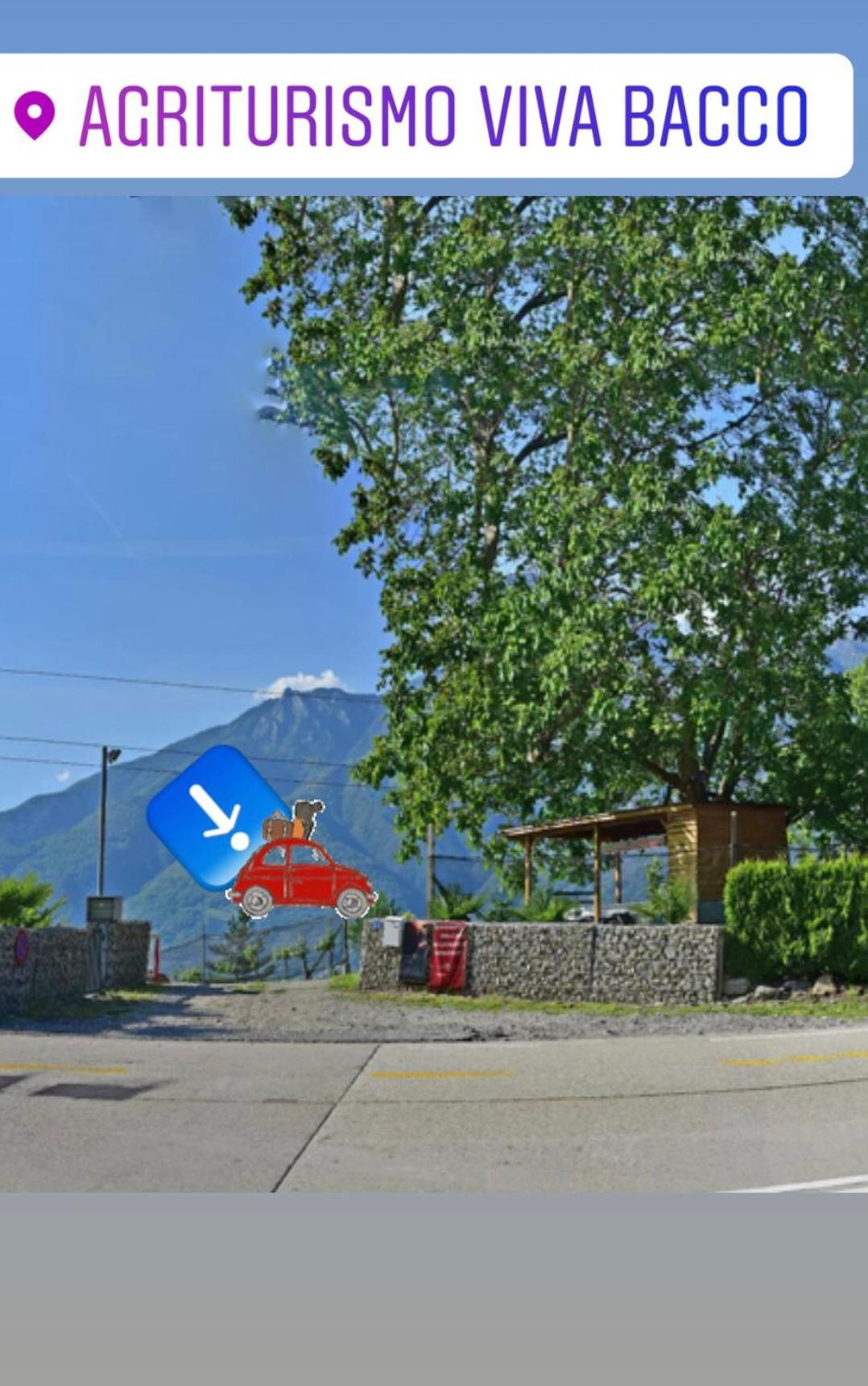 Bed and Breakfast Viva Bacco Gambarogno Exterior foto