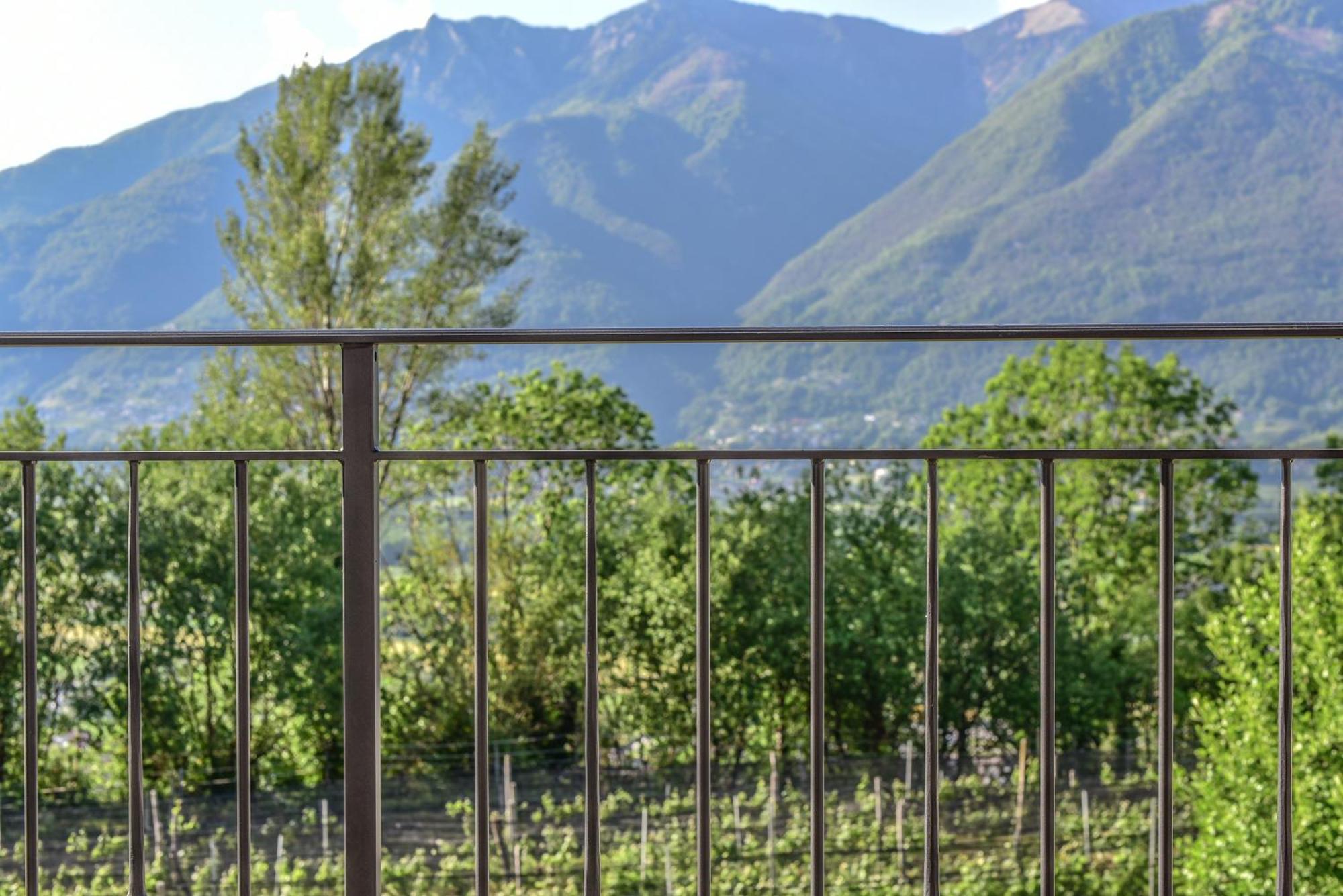 Bed and Breakfast Viva Bacco Gambarogno Exterior foto