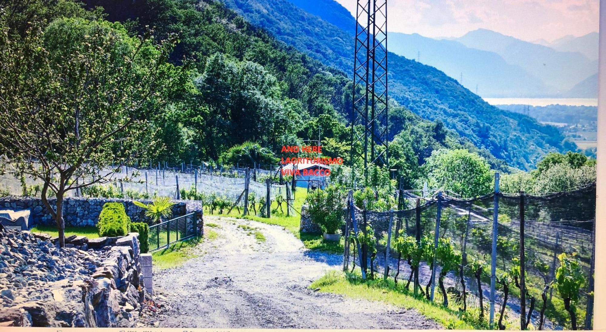 Bed and Breakfast Viva Bacco Gambarogno Exterior foto