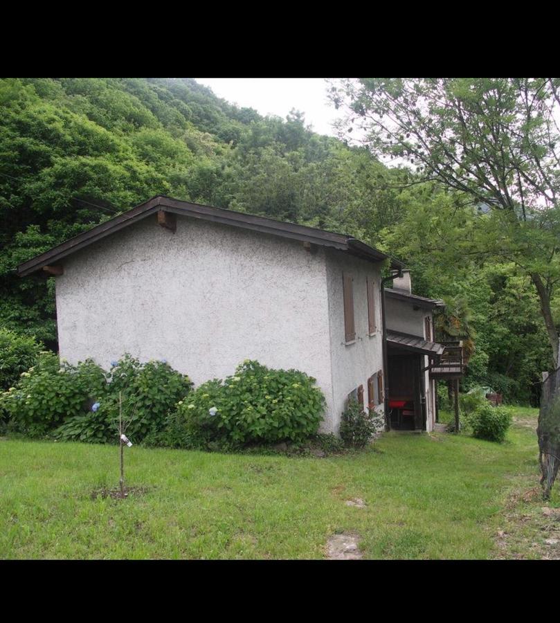 Bed and Breakfast Viva Bacco Gambarogno Exterior foto