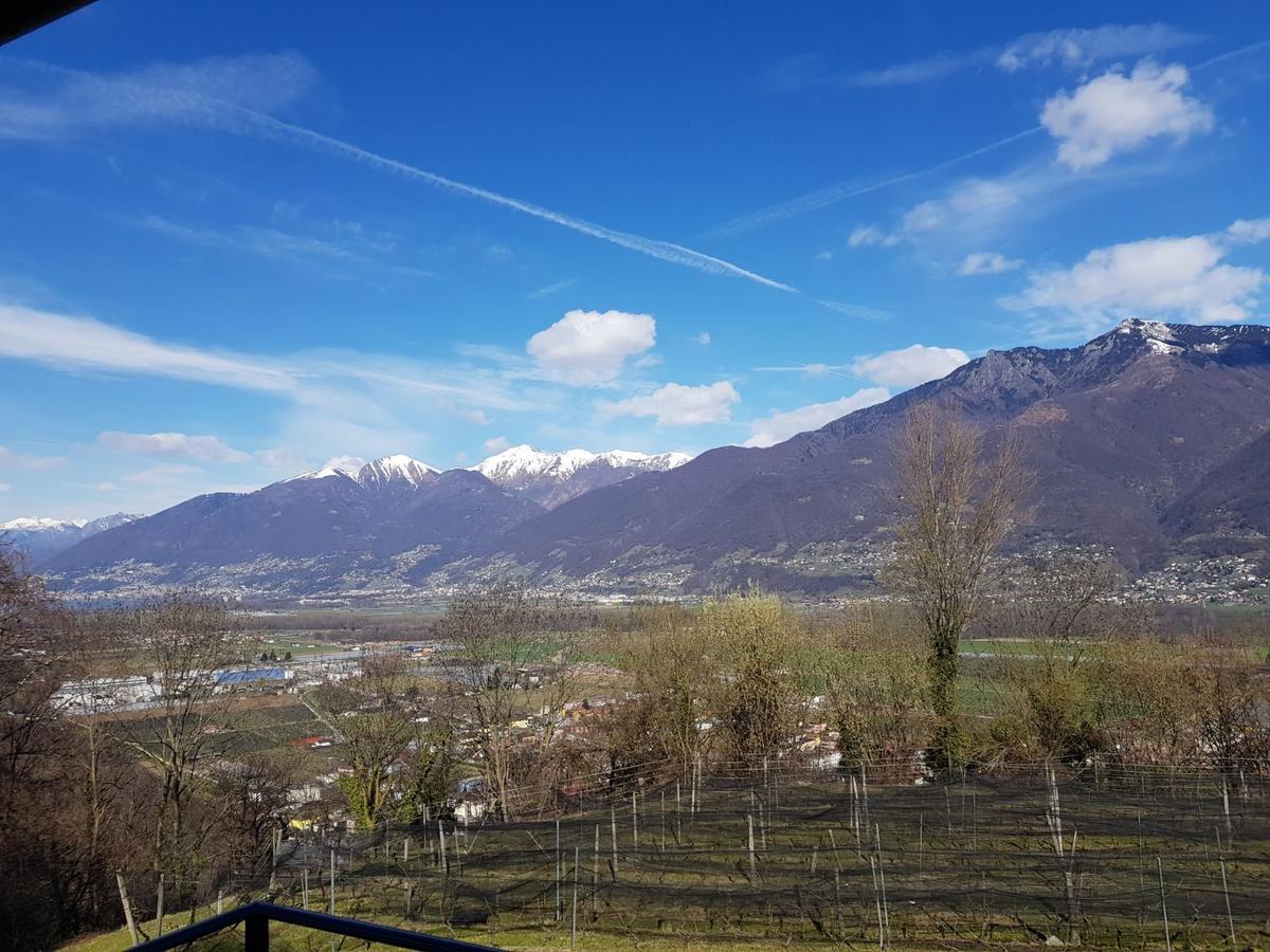 Bed and Breakfast Viva Bacco Gambarogno Exterior foto